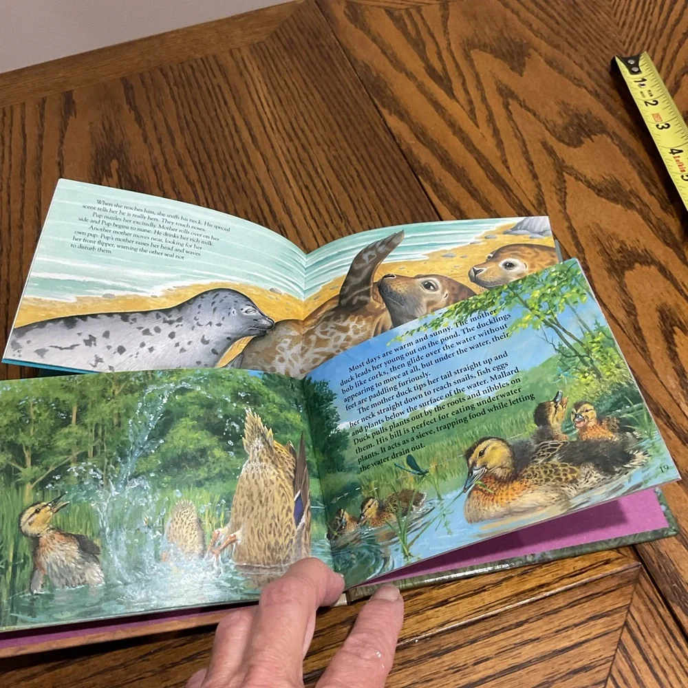 Interactive Animal Pop-Up & Book set: Zoo, Sleep, Jungle, Savanna, Duck & Seal